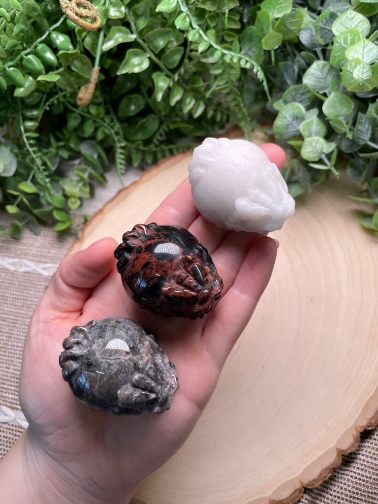 Crystal Lion Turtle | Copper Ashes