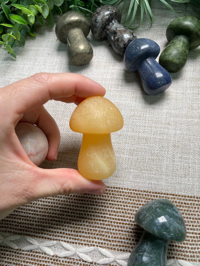 Crystal Mushroom | Copper Ashes