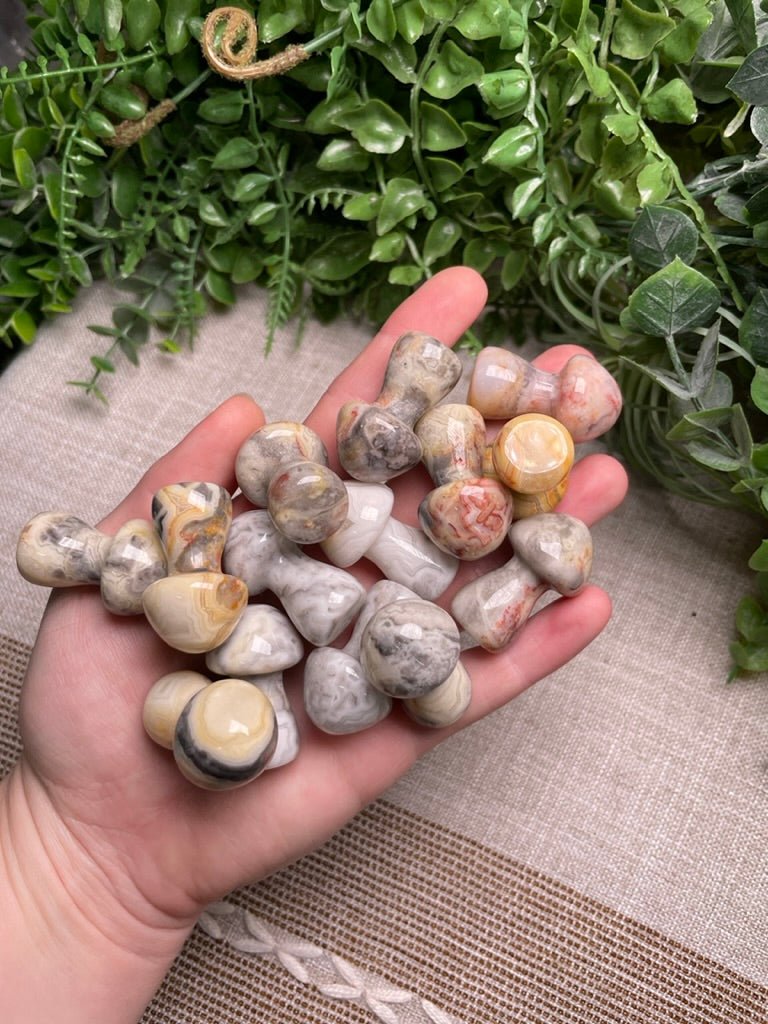 Crystal Mushroom | Copper Ashes