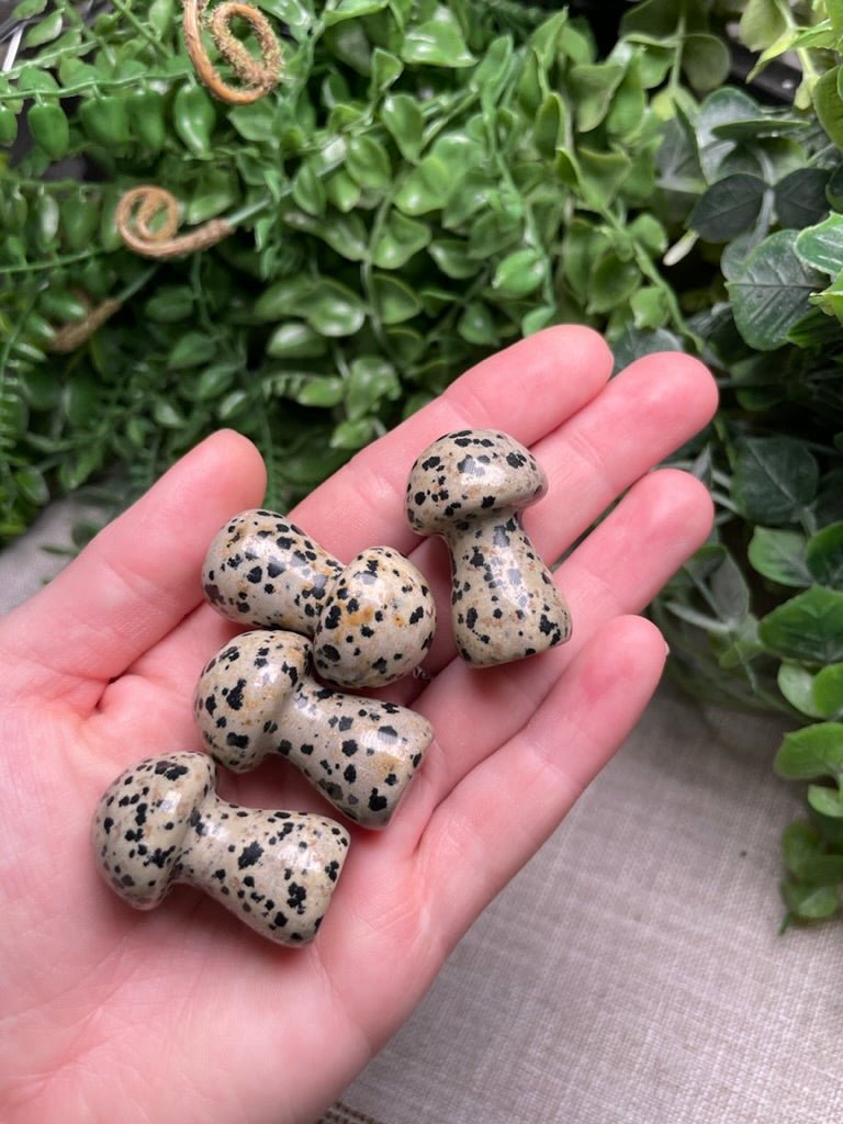 Crystal Mushroom | Copper Ashes