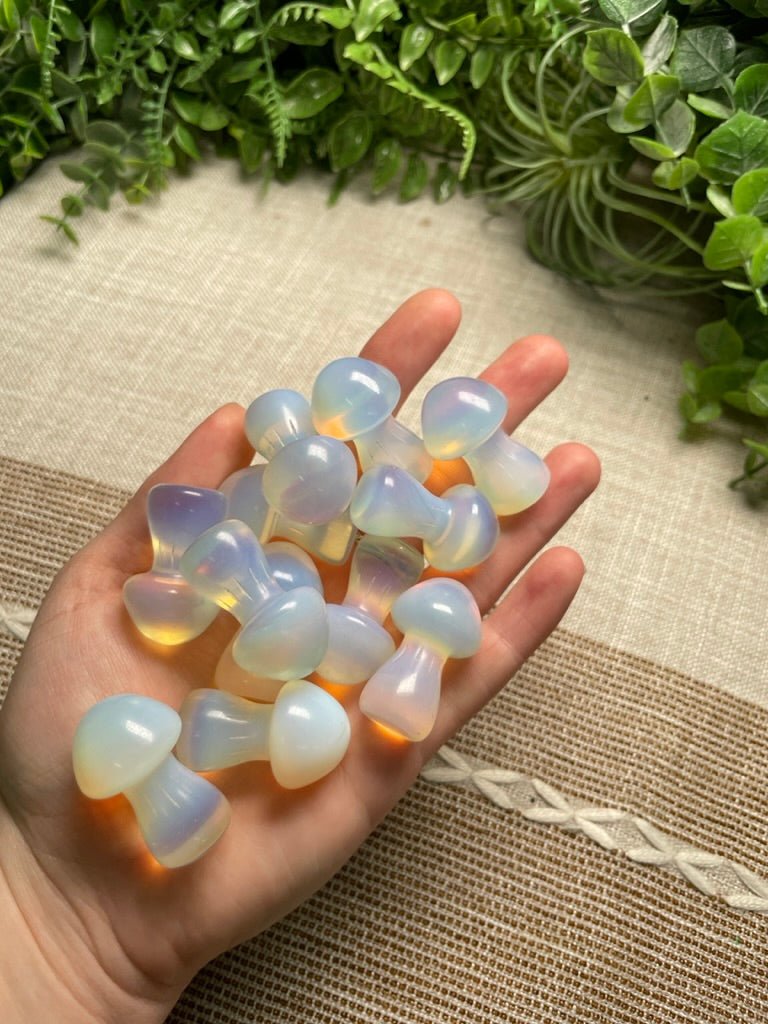 Crystal Mushroom | Copper Ashes