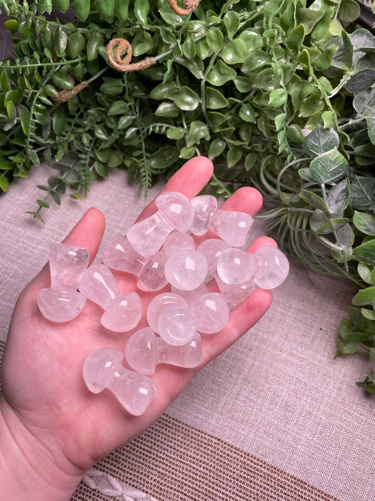 Crystal Mushroom | Copper Ashes