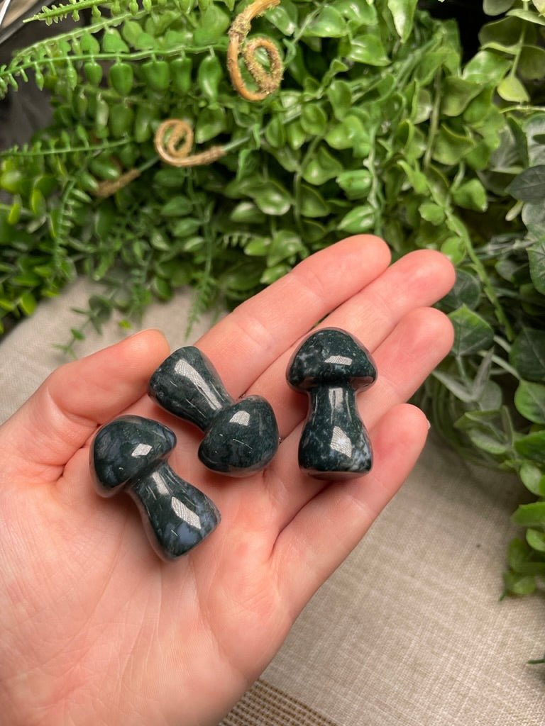 Crystal Mushroom | Copper Ashes