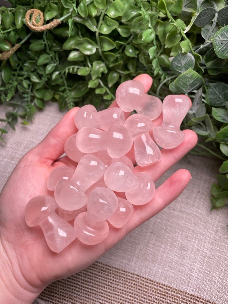 Crystal Mushroom | Copper Ashes