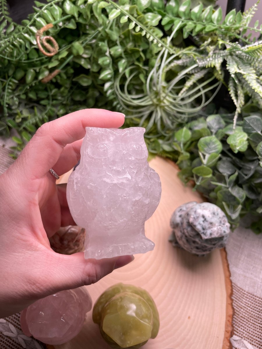 Crystal Owl | Copper Ashes