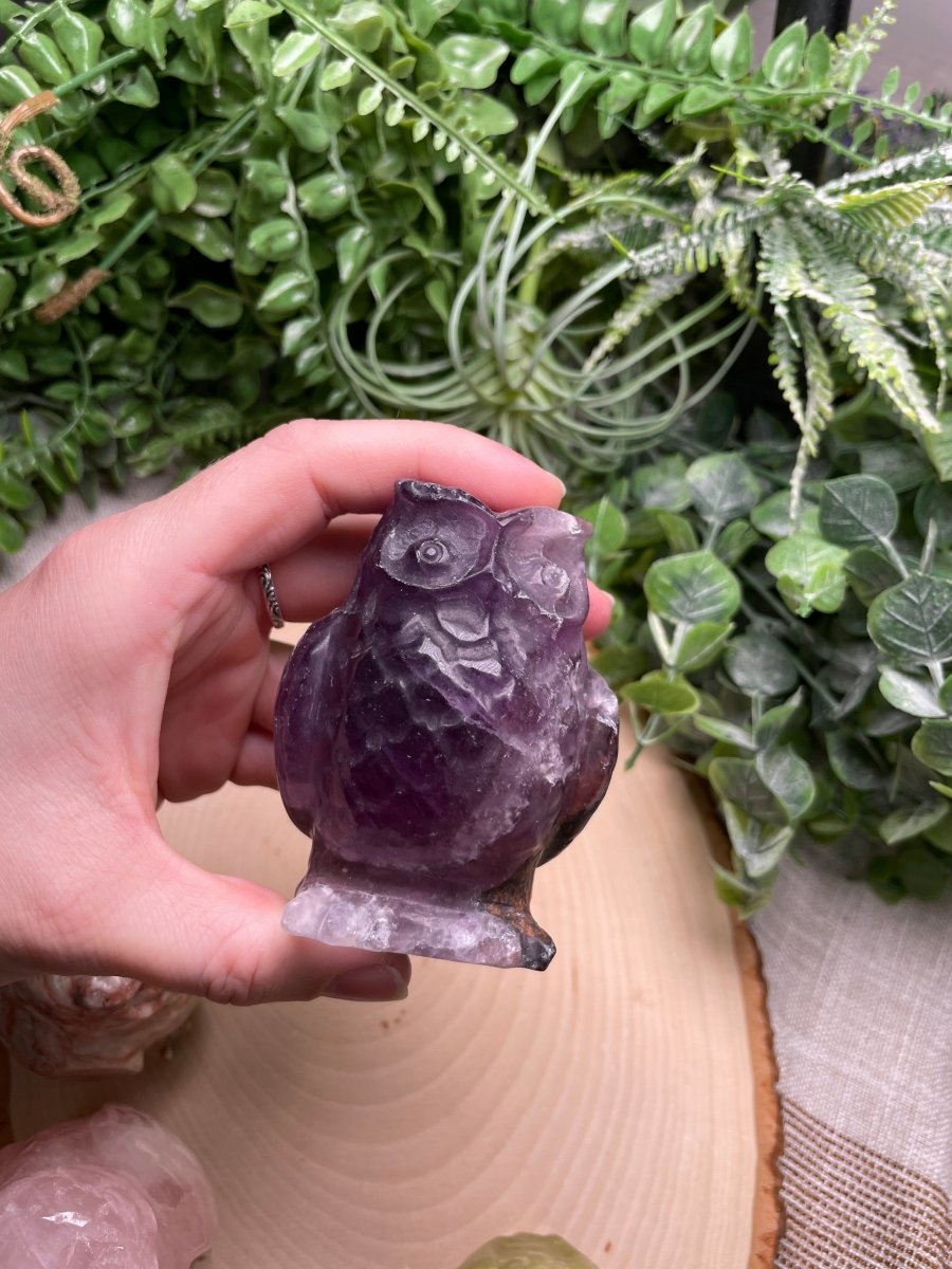 Crystal Owl | Copper Ashes