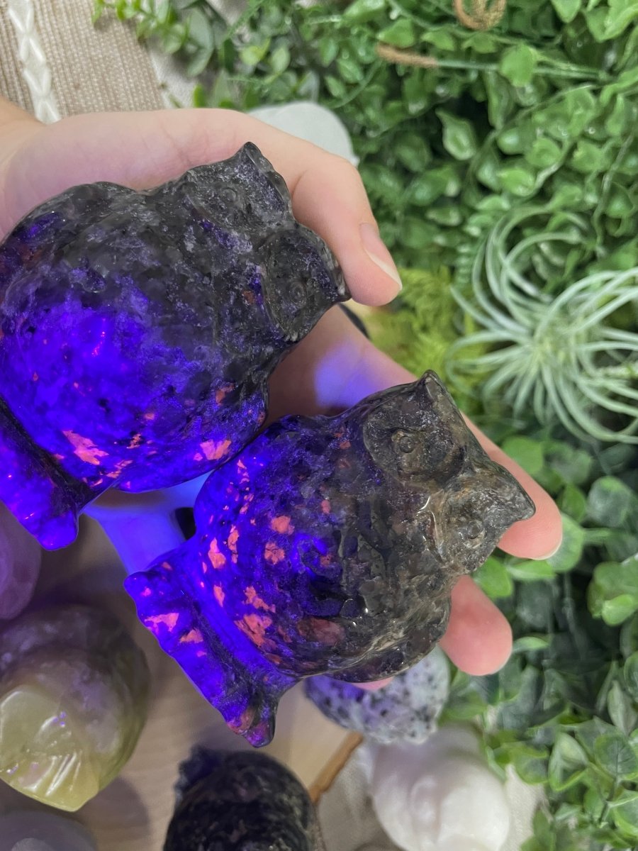 Crystal Owl | Copper Ashes