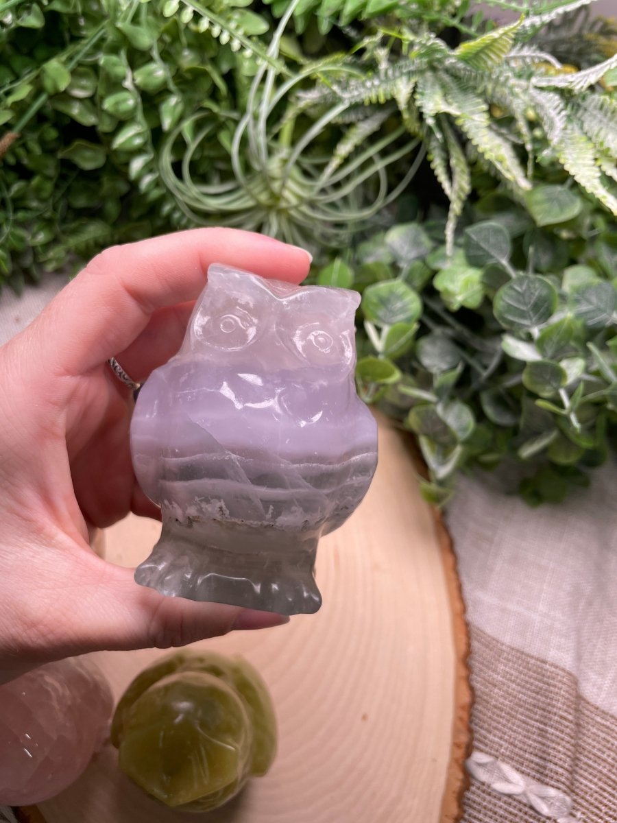 Crystal Owl | Copper Ashes