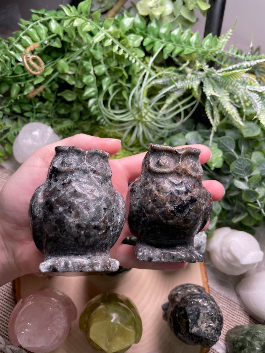 Crystal Owl | Copper Ashes