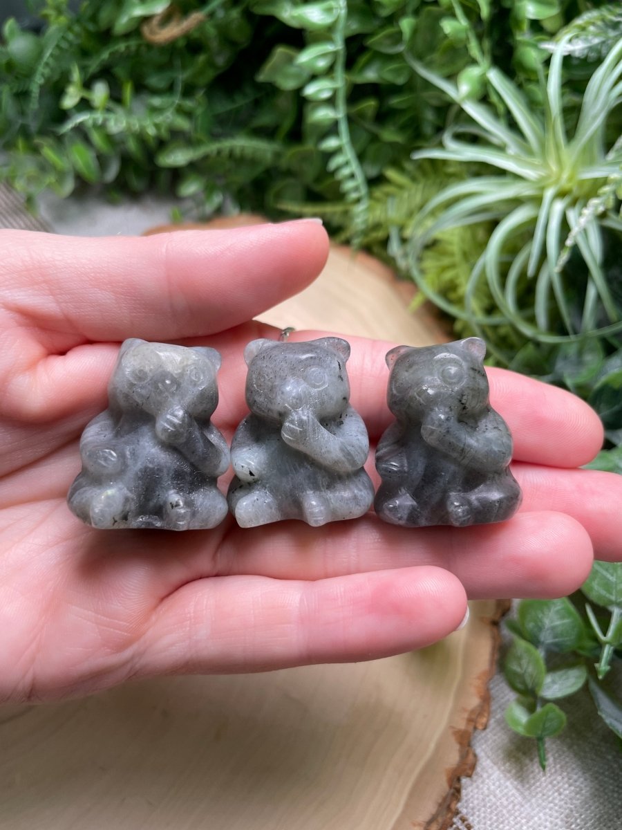 Crystal Panda Bear | Copper Ashes