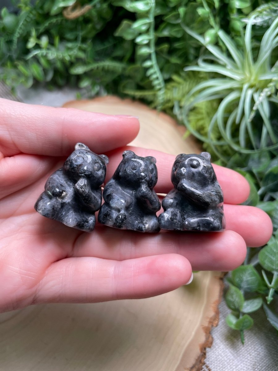 Crystal Panda Bear | Copper Ashes