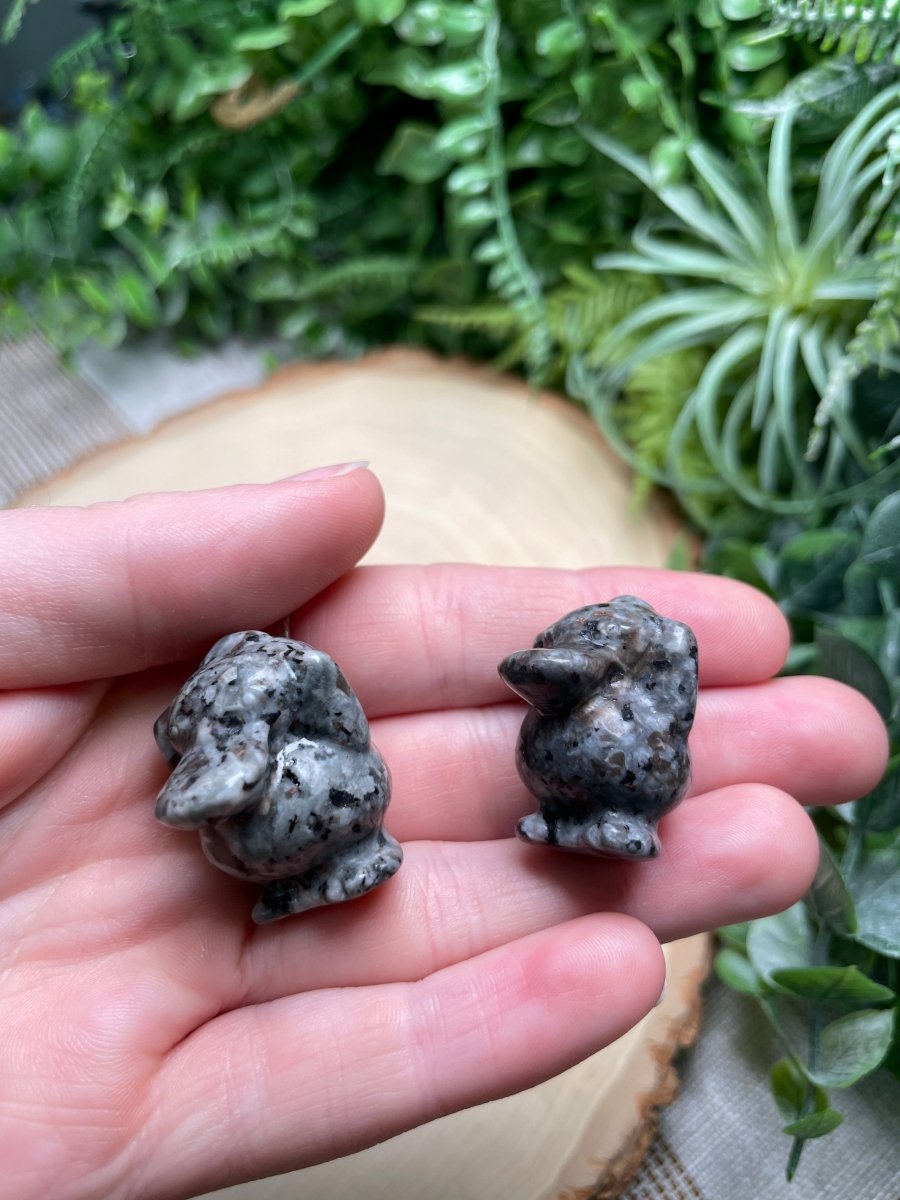 Crystal Psyduck | Copper Ashes