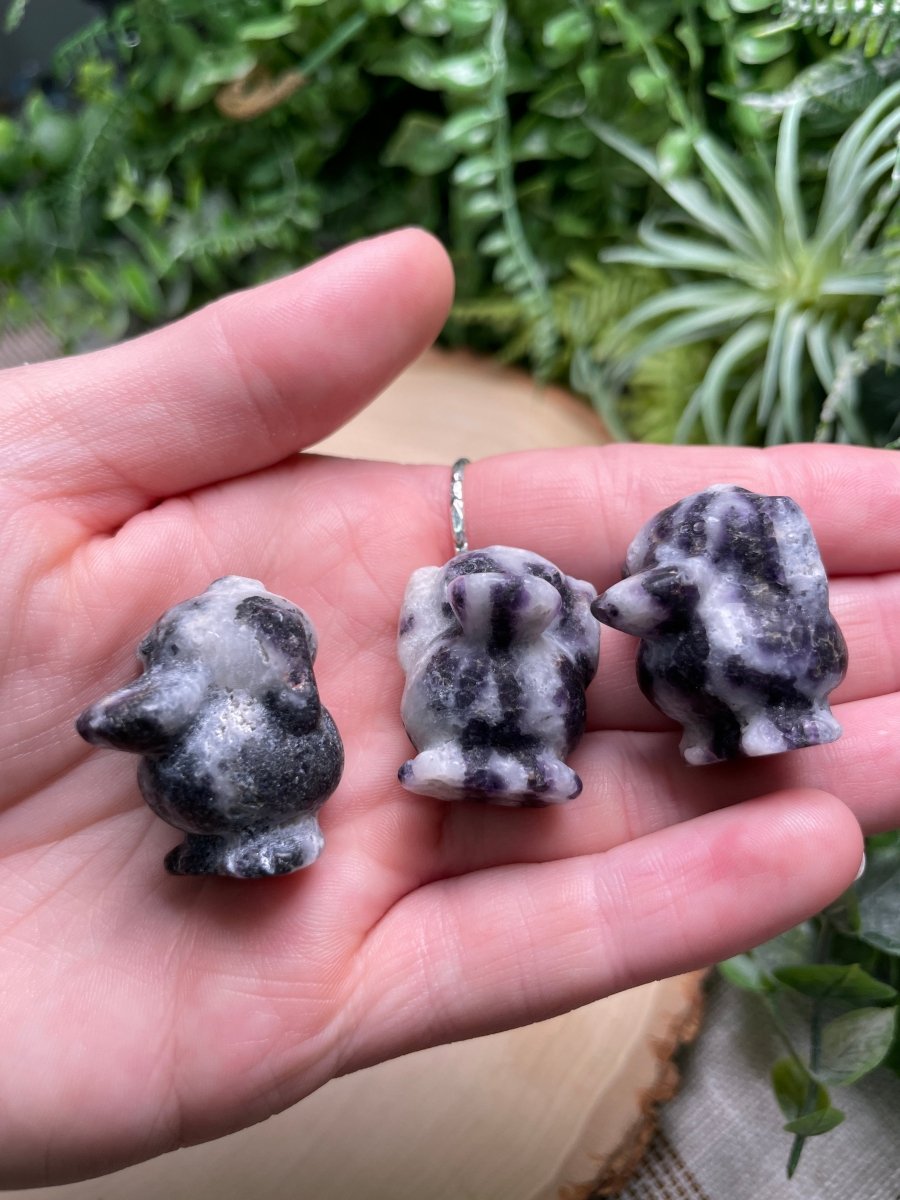 Crystal Psyduck | Copper Ashes