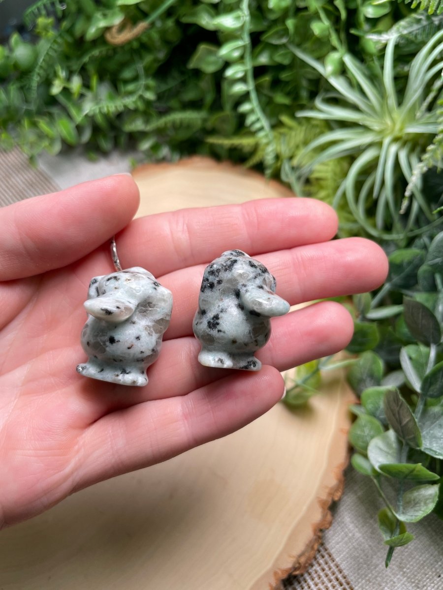 Crystal Psyduck | Copper Ashes