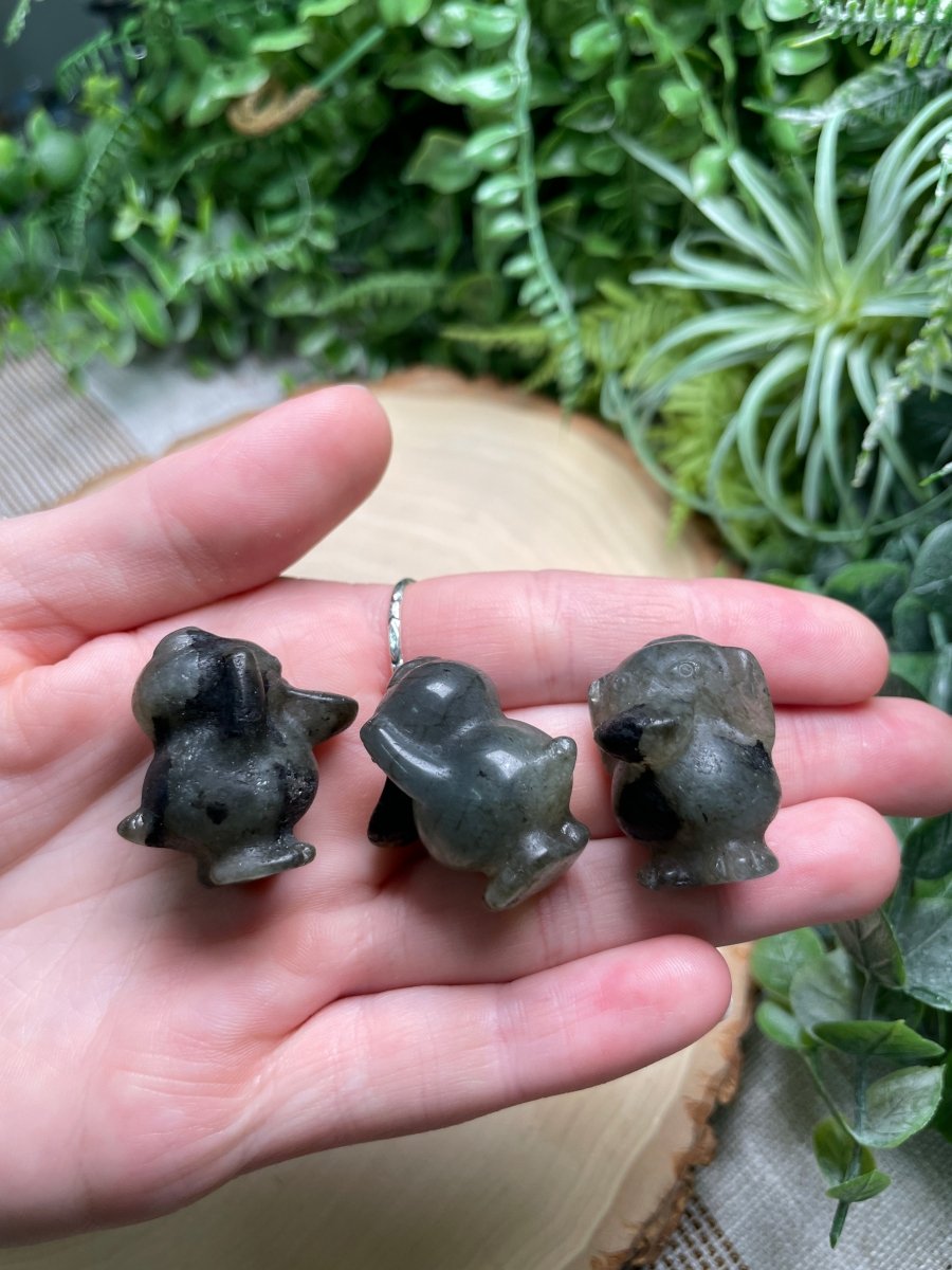 Crystal Psyduck | Copper Ashes