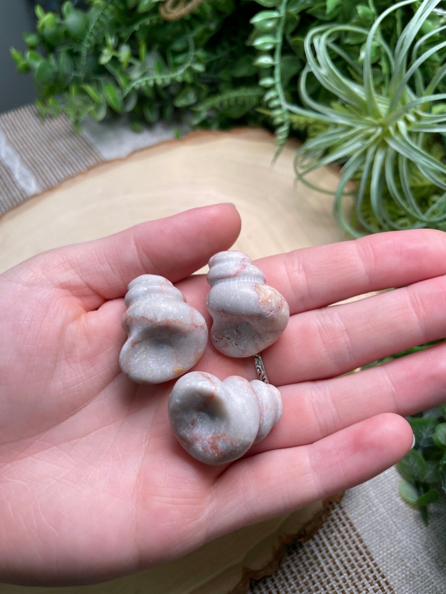 Crystal Shell | Copper Ashes