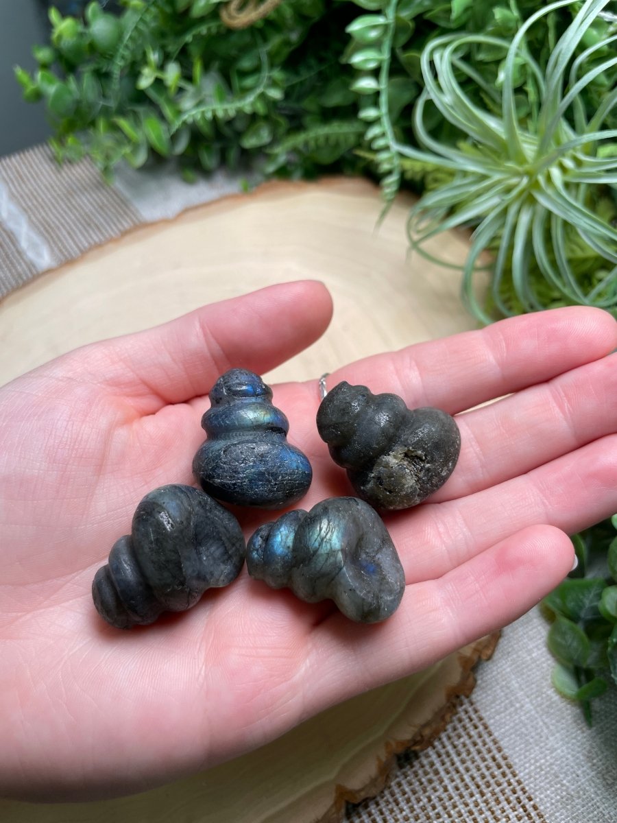 Crystal Shell | Copper Ashes