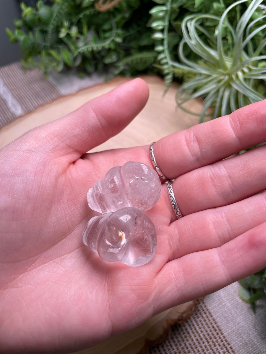 Crystal Shell | Copper Ashes