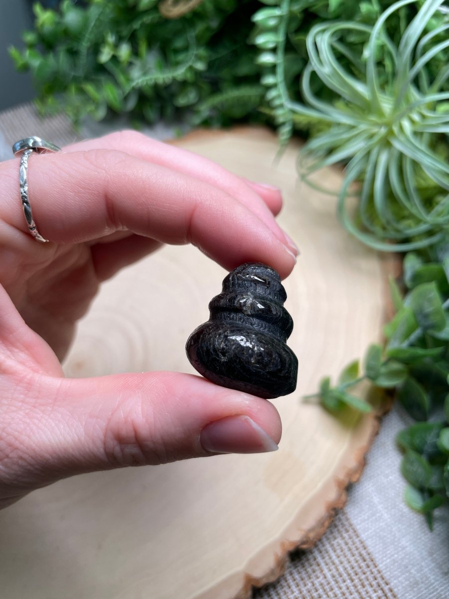 Crystal Shell | Copper Ashes