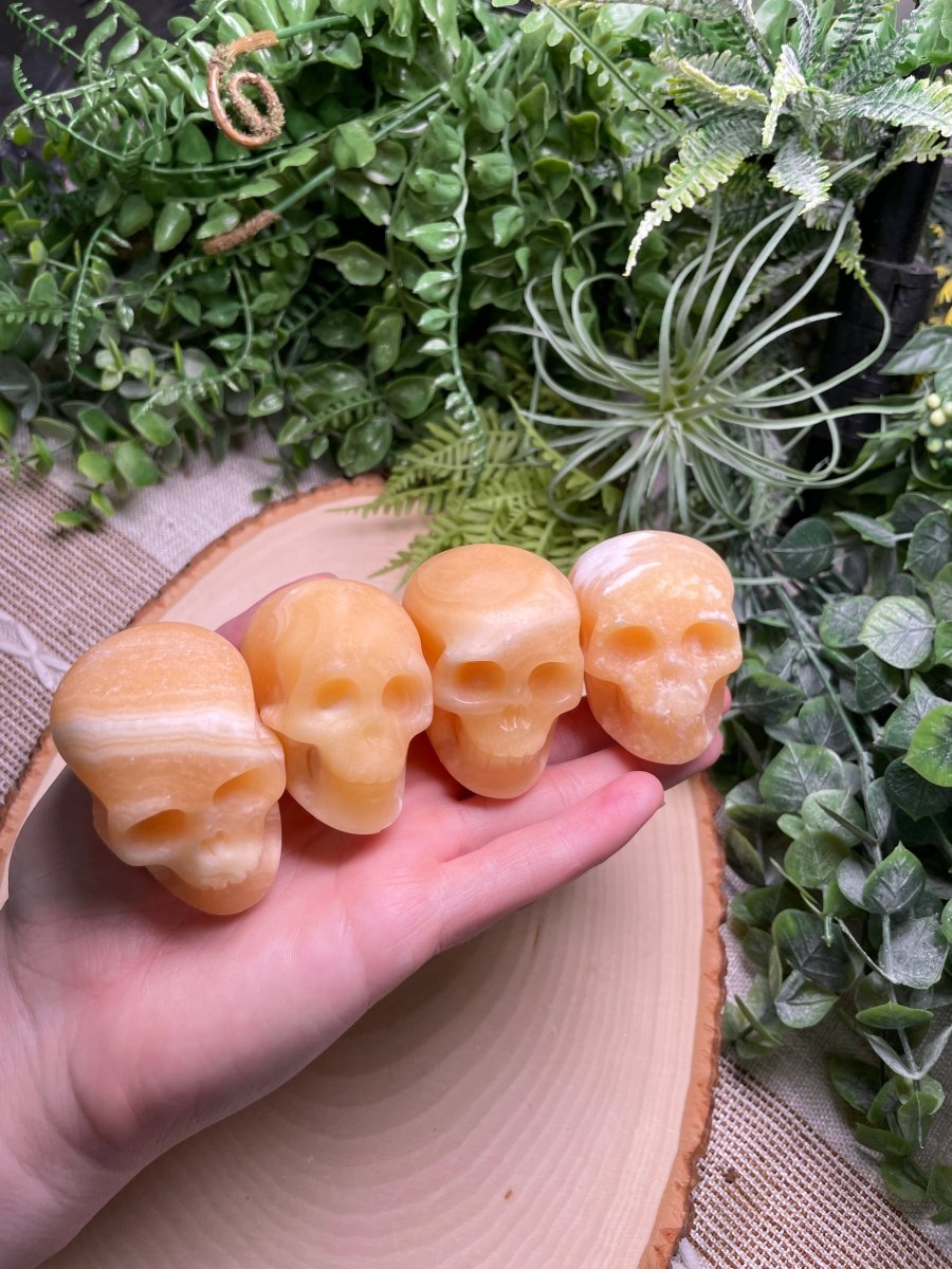 Crystal Skull | Copper Ashes