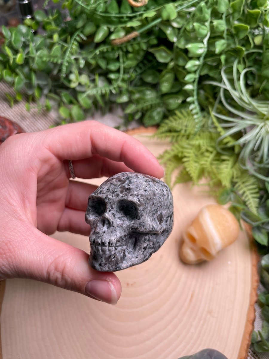 Crystal Skull | Copper Ashes