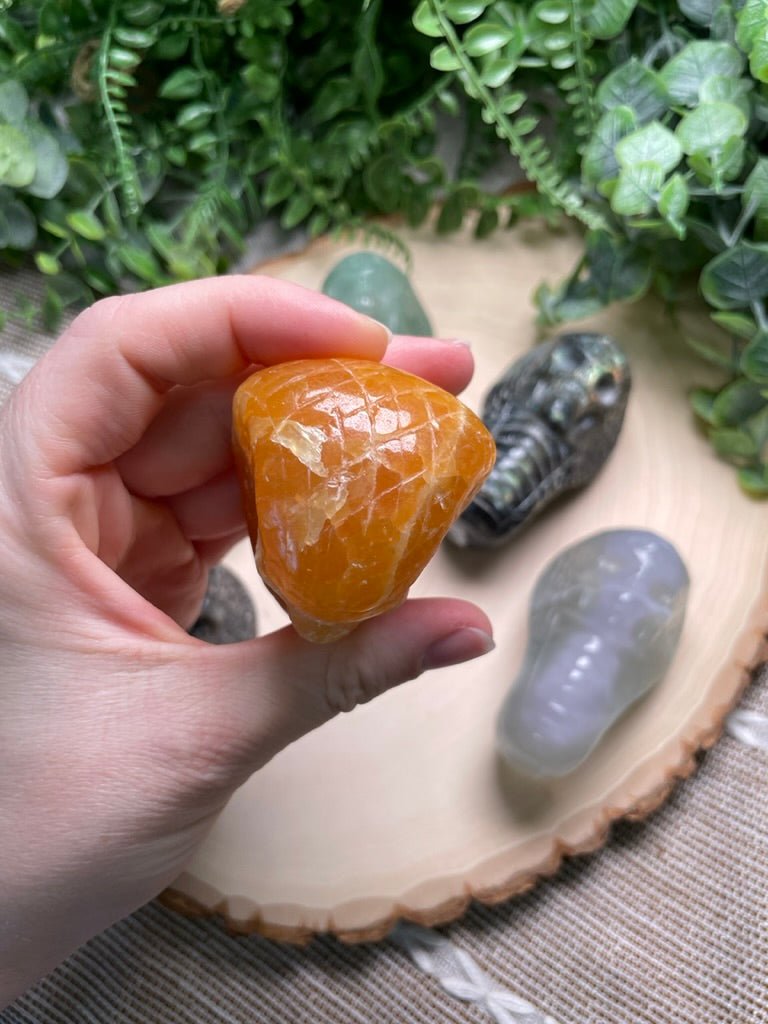 Crystal Skull Snake | Copper Ashes