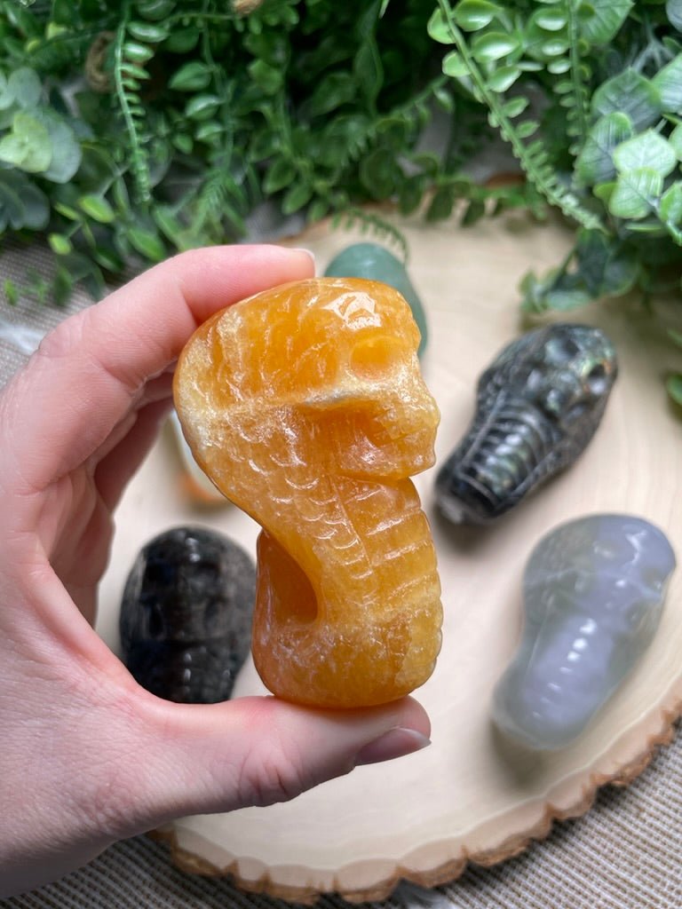 Crystal Skull Snake | Copper Ashes