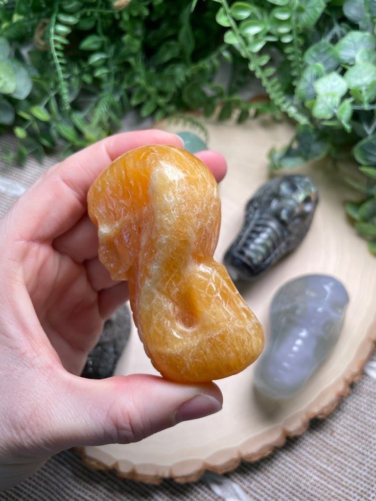 Crystal Skull Snake | Copper Ashes