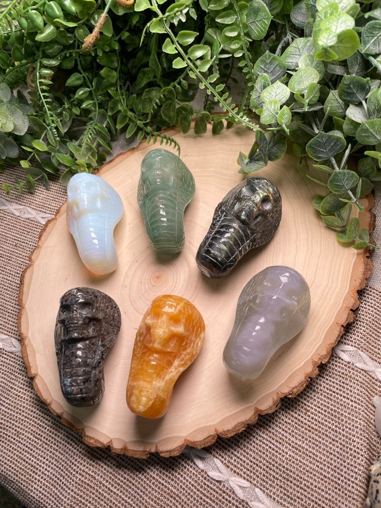 Crystal Skull Snake | Copper Ashes