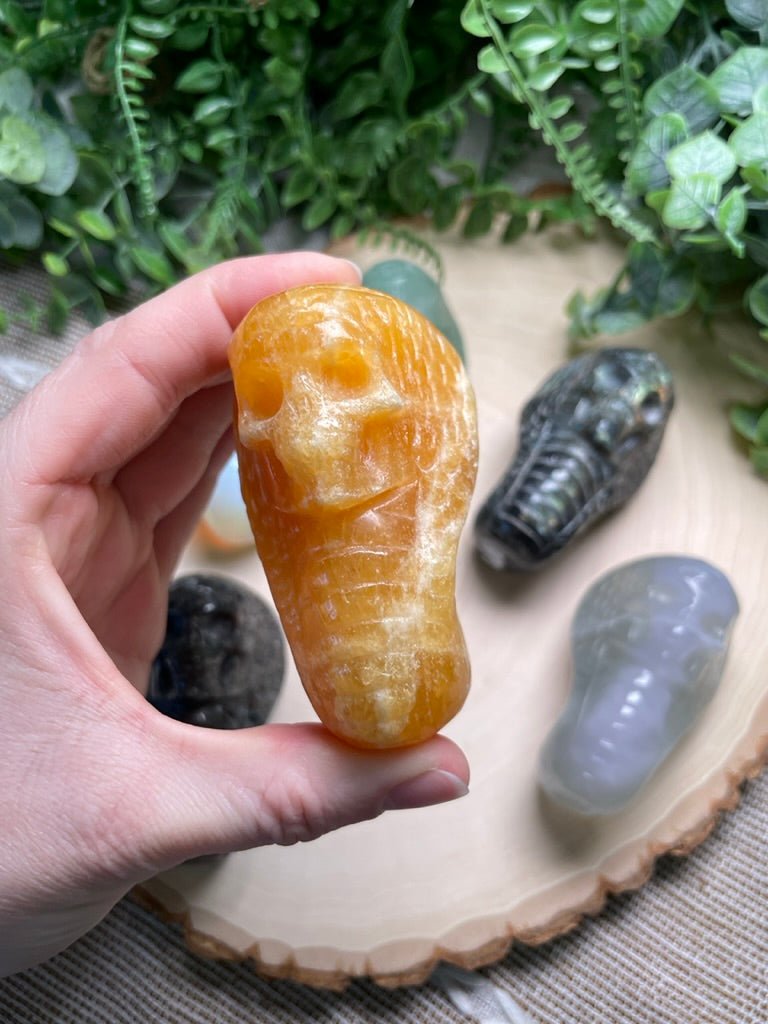 Crystal Skull Snake | Copper Ashes