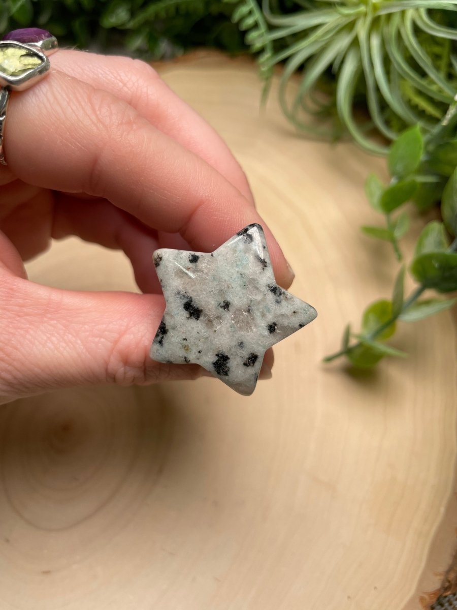 Crystal Star Car Vent Clips | Copper Ashes