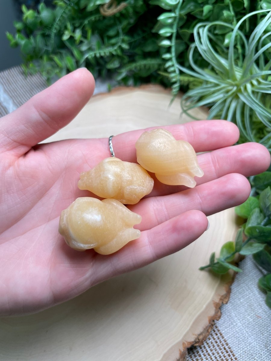 Crystal Turkey | Copper Ashes