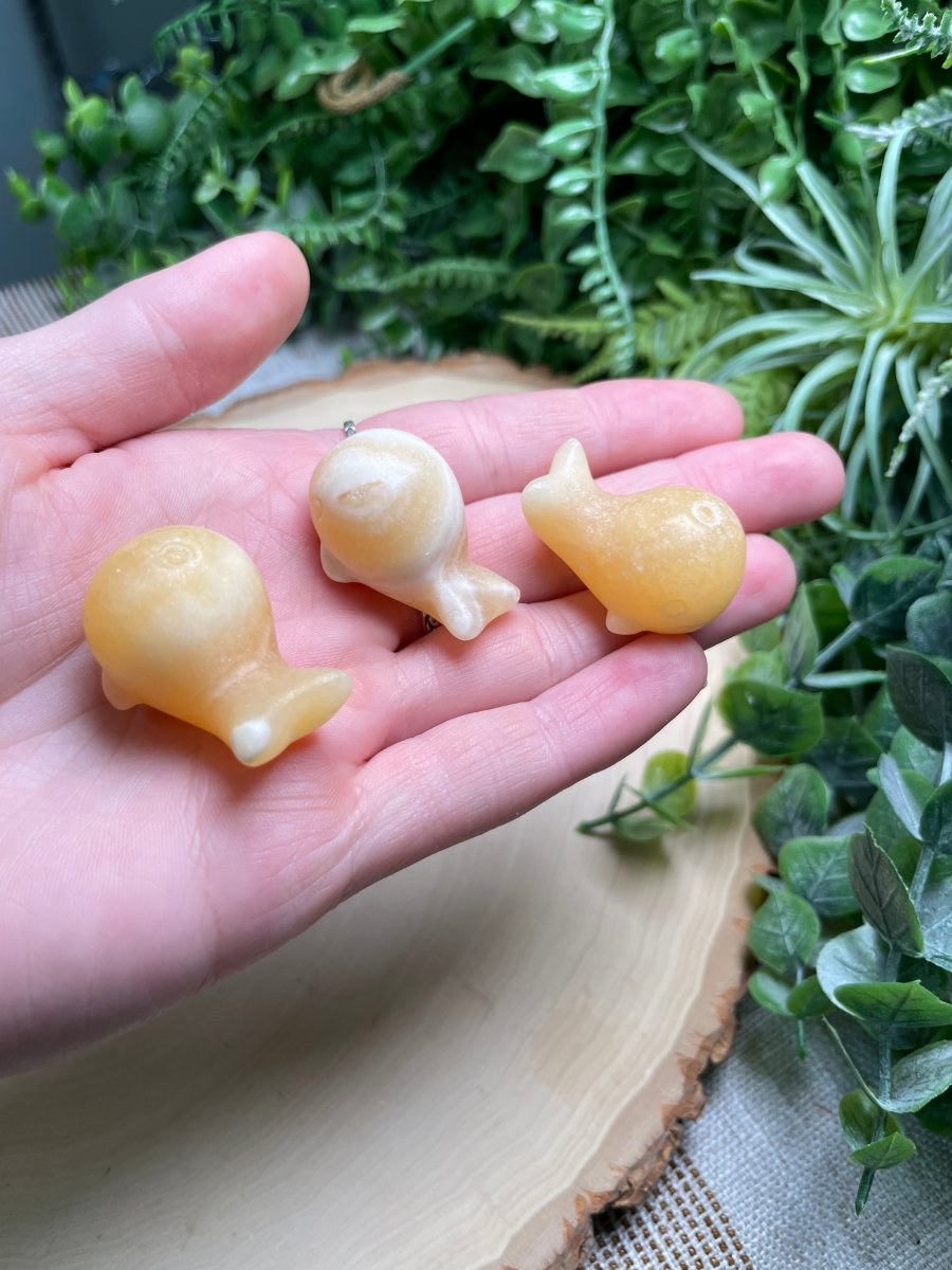 Crystal Whale | Copper Ashes