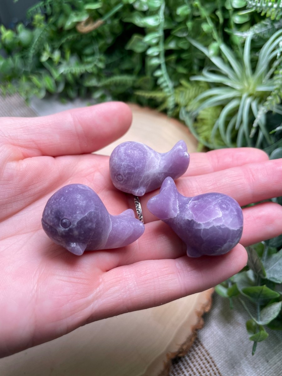 Crystal Whale | Copper Ashes