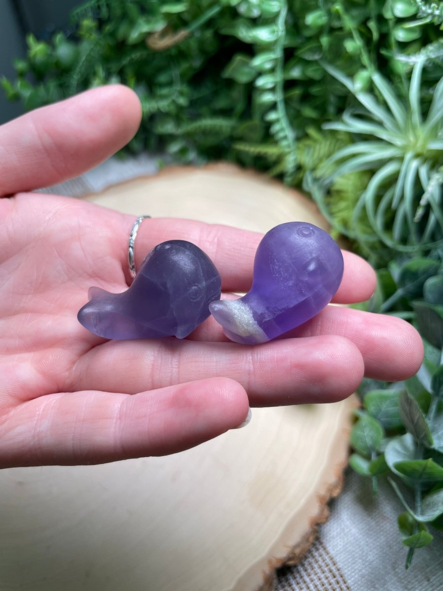 Crystal Whale | Copper Ashes