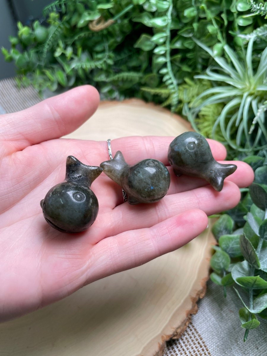 Crystal Whale | Copper Ashes