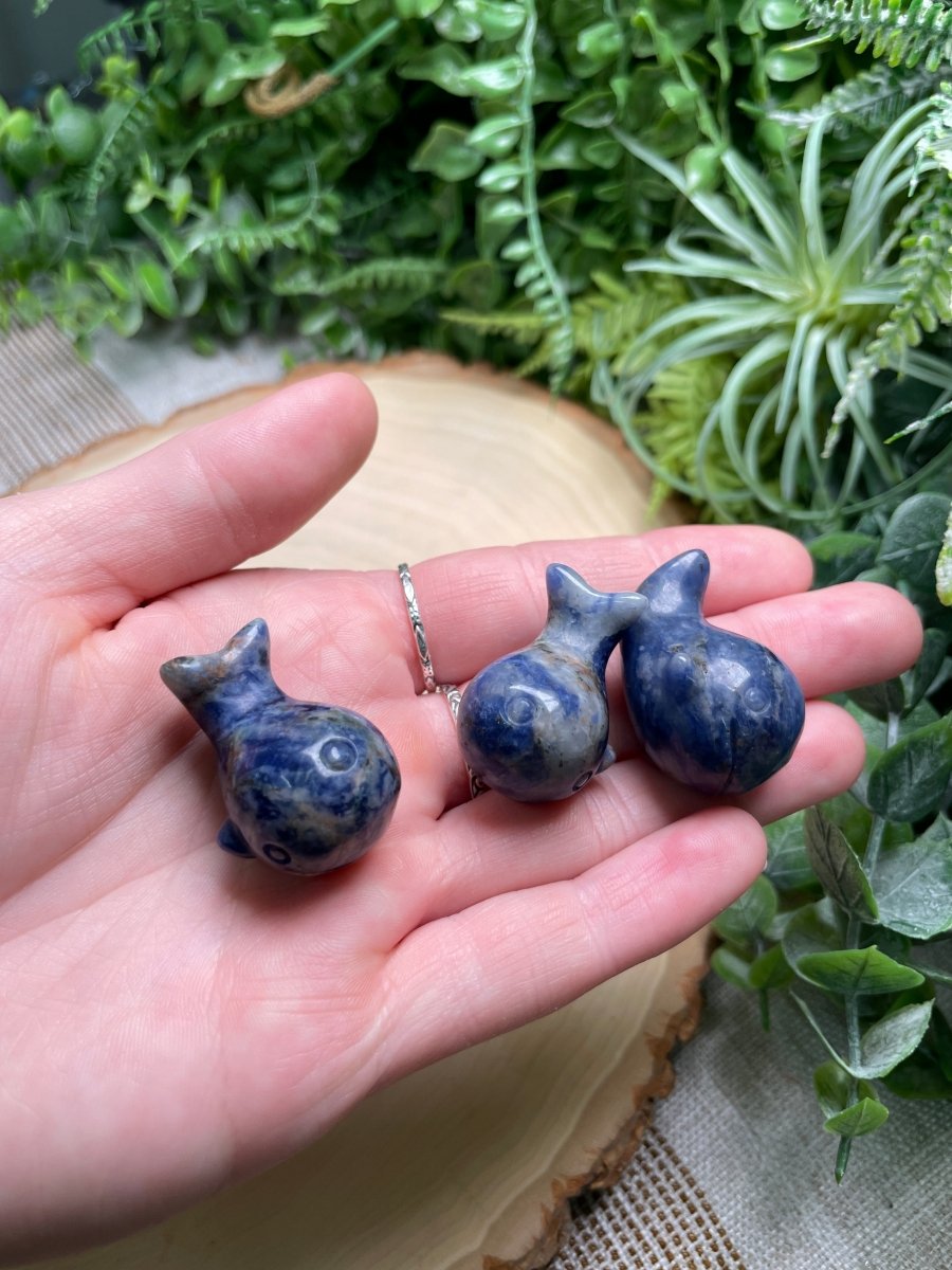 Crystal Whale | Copper Ashes