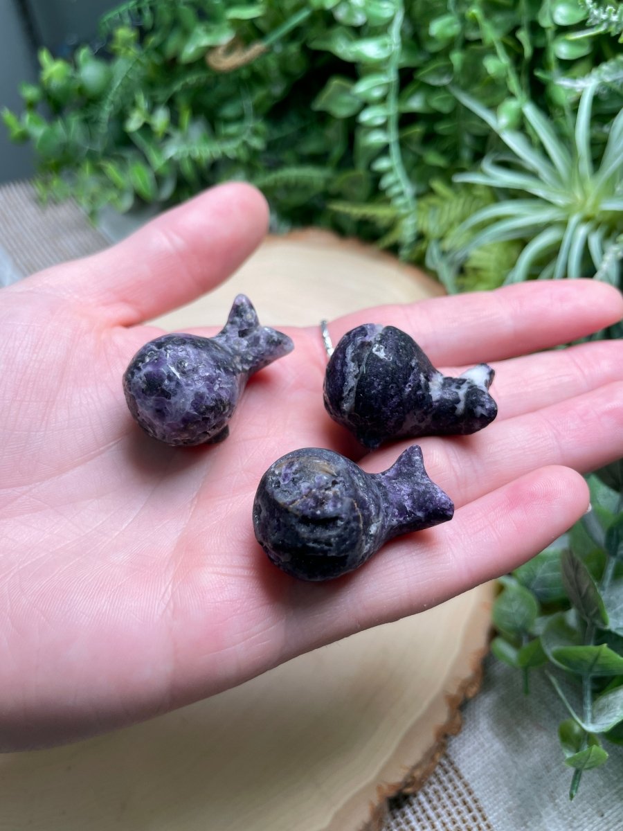 Crystal Whale | Copper Ashes