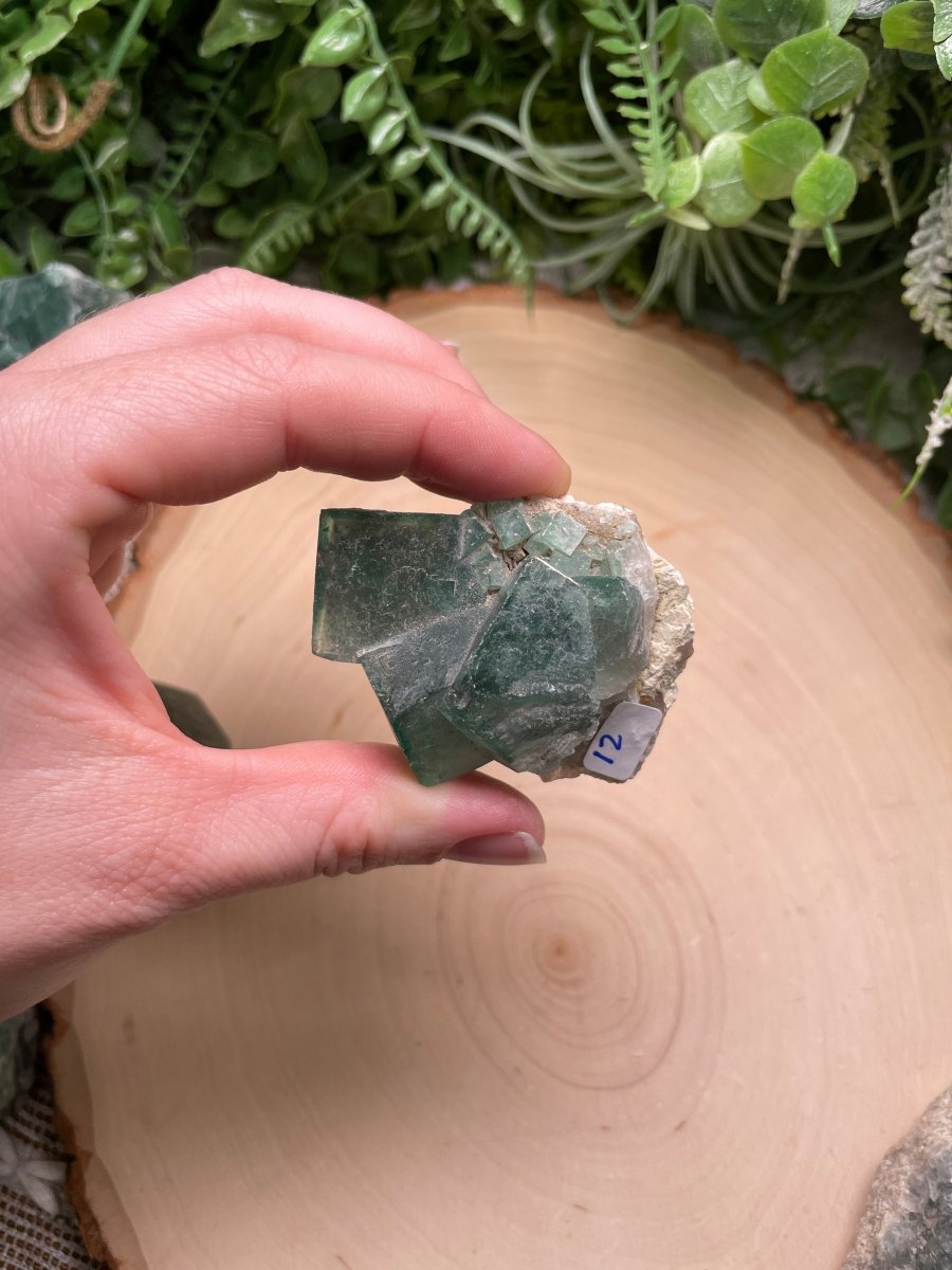 Cubic Fluorite | Copper Ashes