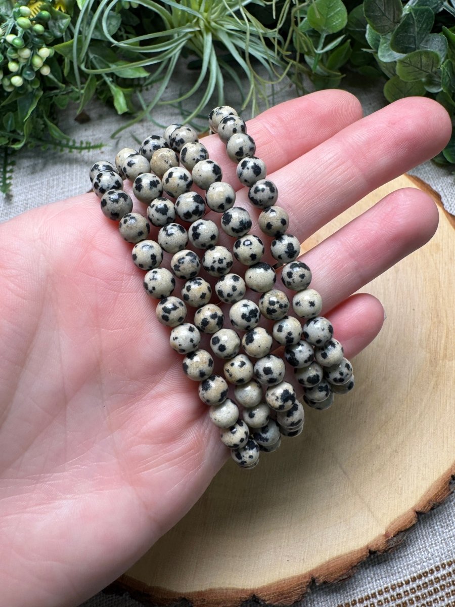 Dalmatian Jasper 6mm Beaded Bracelet | Copper Ashes