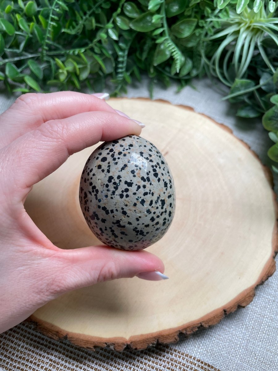 Dalmatian Jasper Palm Stone | Copper Ashes