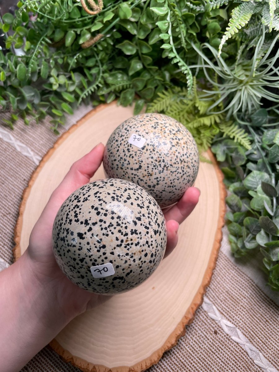 Dalmatian Jasper Sphere | Copper Ashes