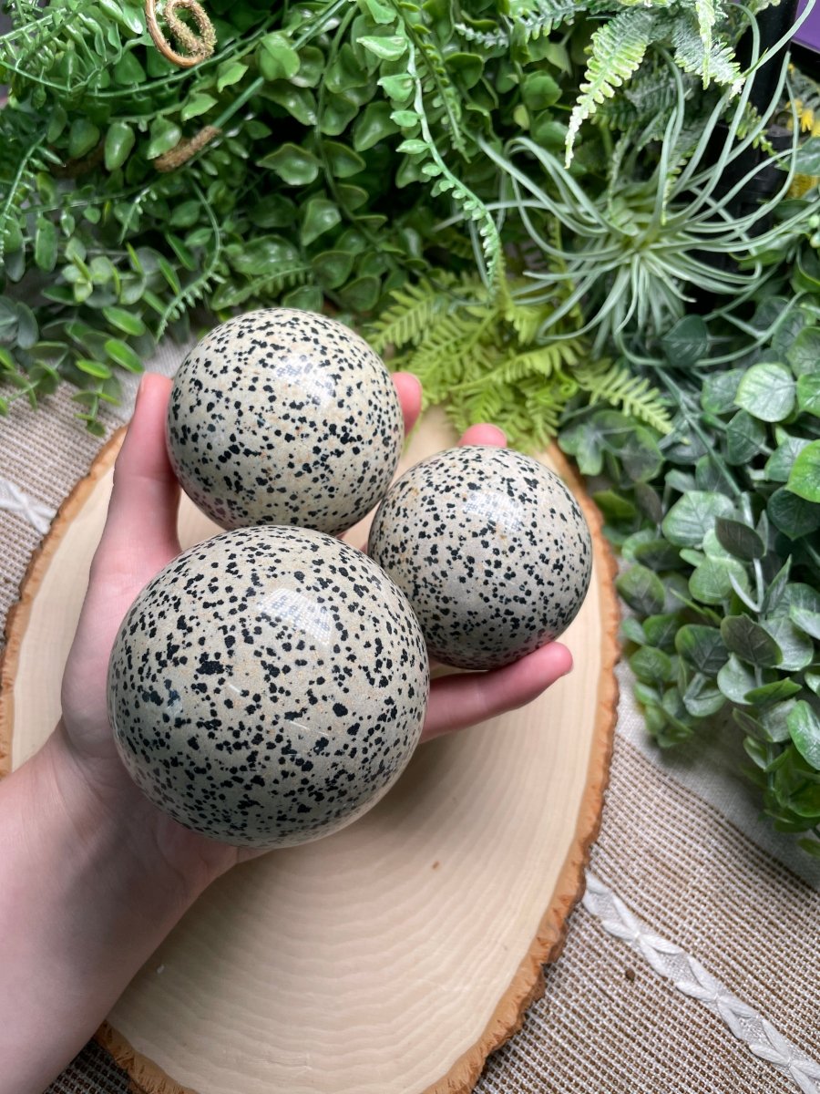 Dalmatian Jasper Sphere | Copper Ashes