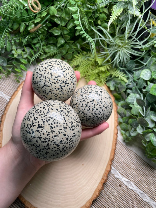 Dalmatian Jasper Sphere | Copper Ashes