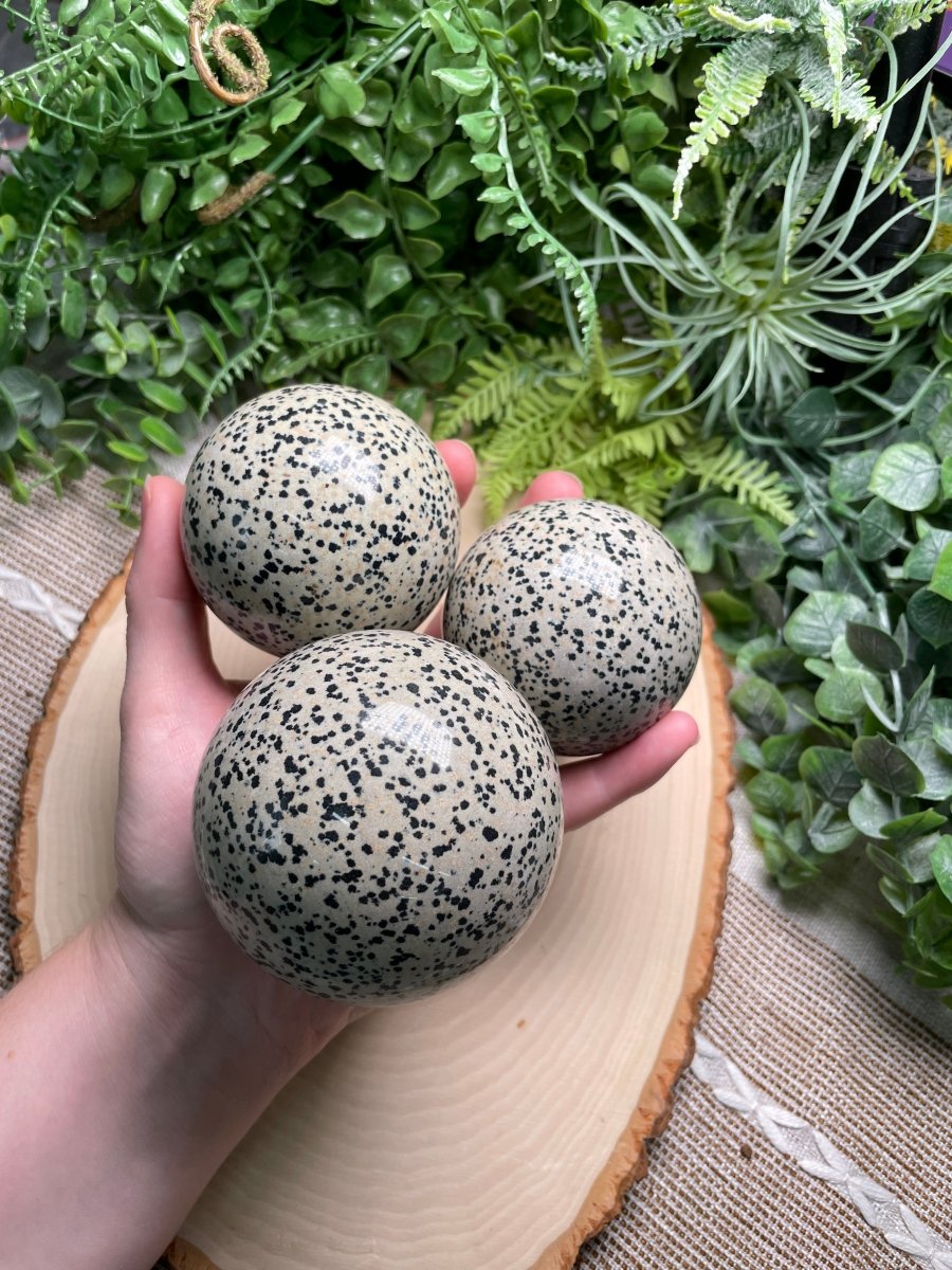 Dalmatian Jasper Sphere | Copper Ashes