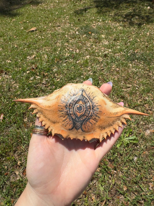 Decorated Blue Crab Shell | Copper Ashes