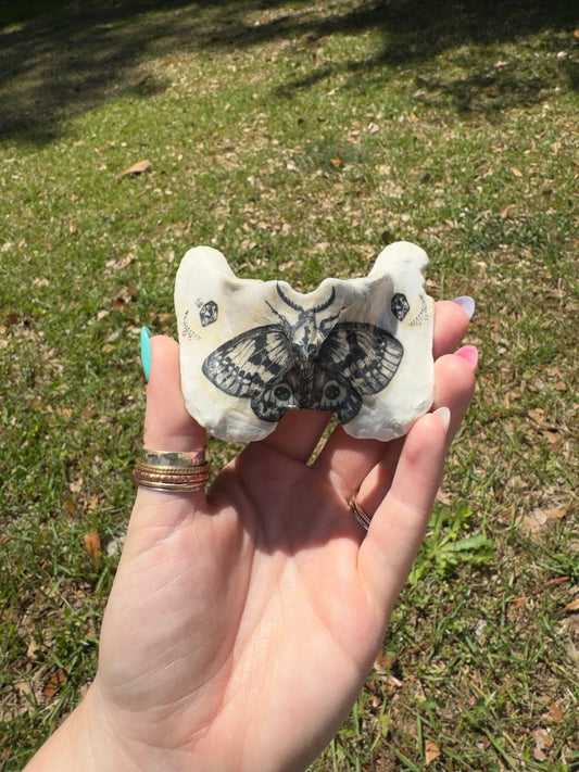 Decorated Bone | Copper Ashes