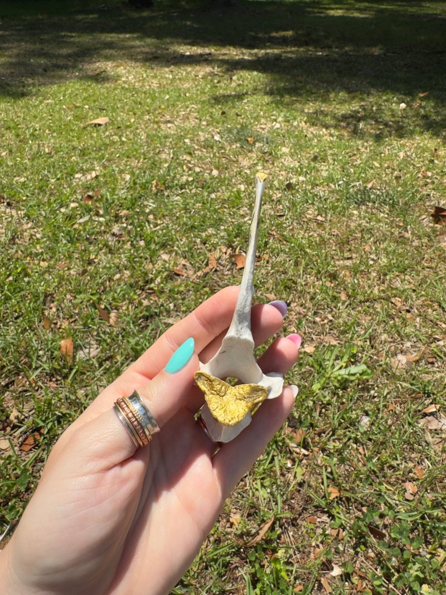 Decorated Bone | Copper Ashes
