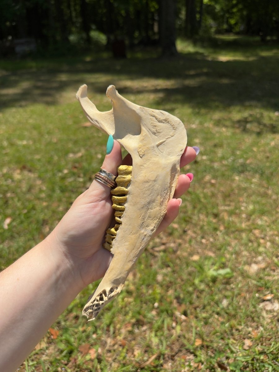 Decorated Goat Jawbone | Copper Ashes