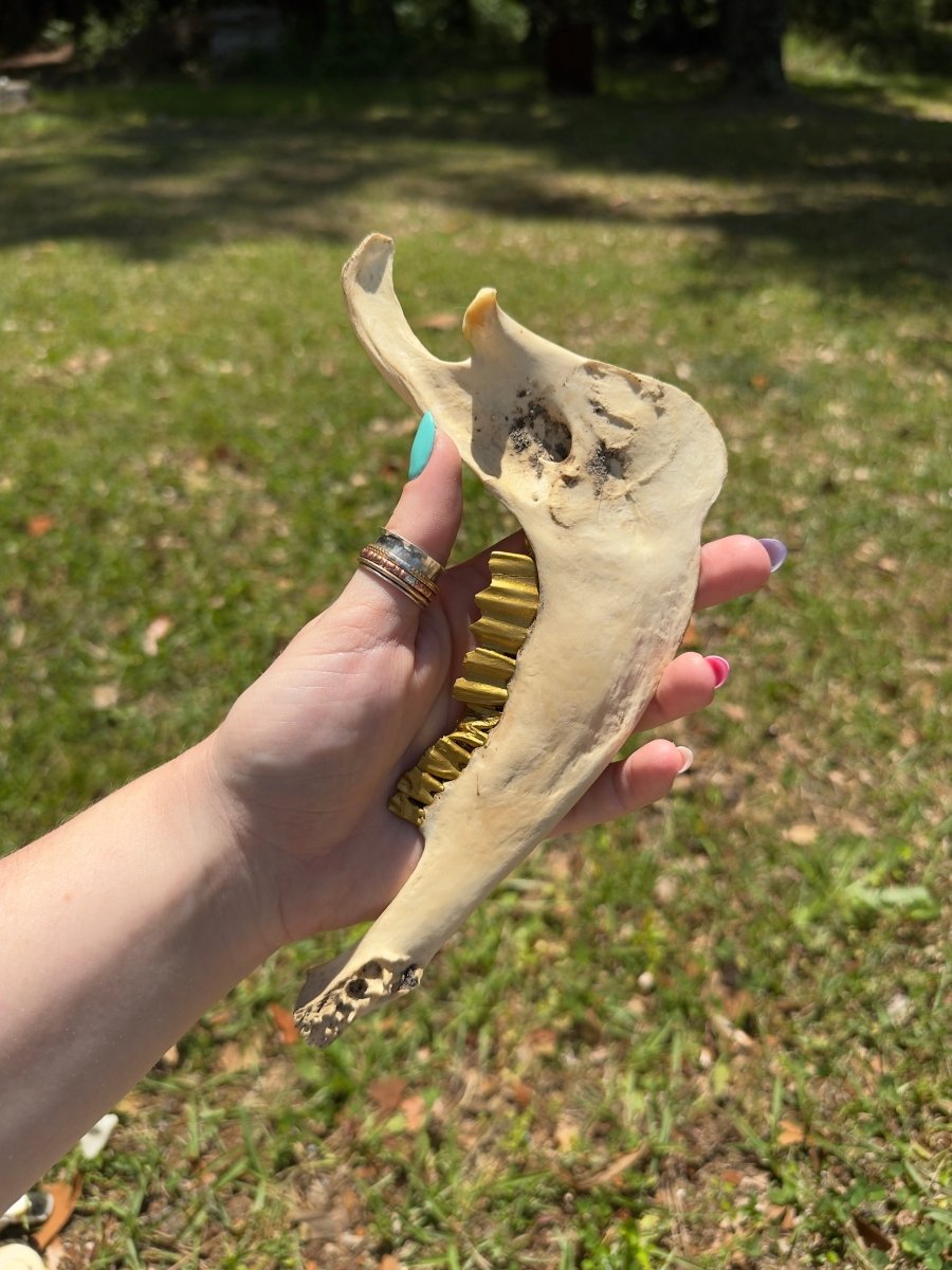 Decorated Goat Jawbone | Copper Ashes